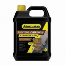 Puente Adherencia Pennsylvania 5lt